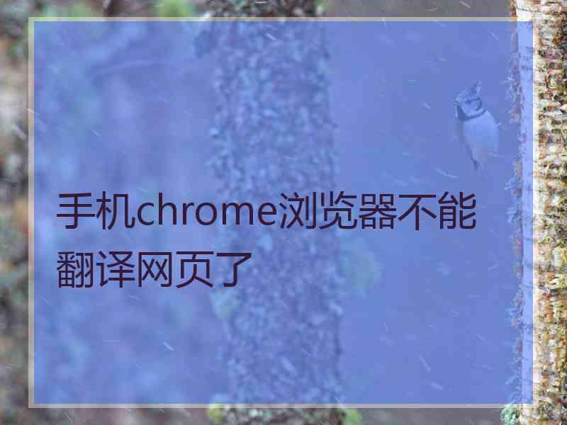 手机chrome浏览器不能翻译网页了