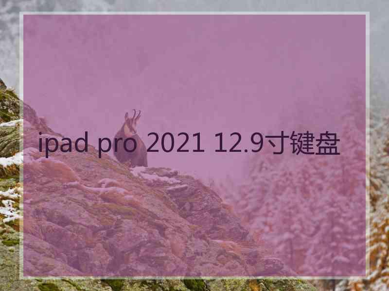 ipad pro 2021 12.9寸键盘