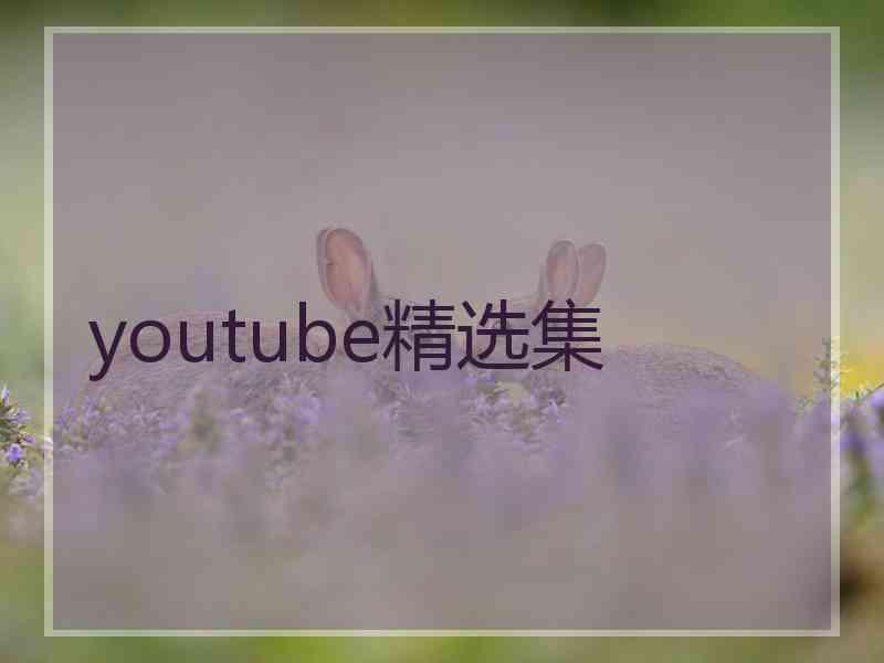 youtube精选集