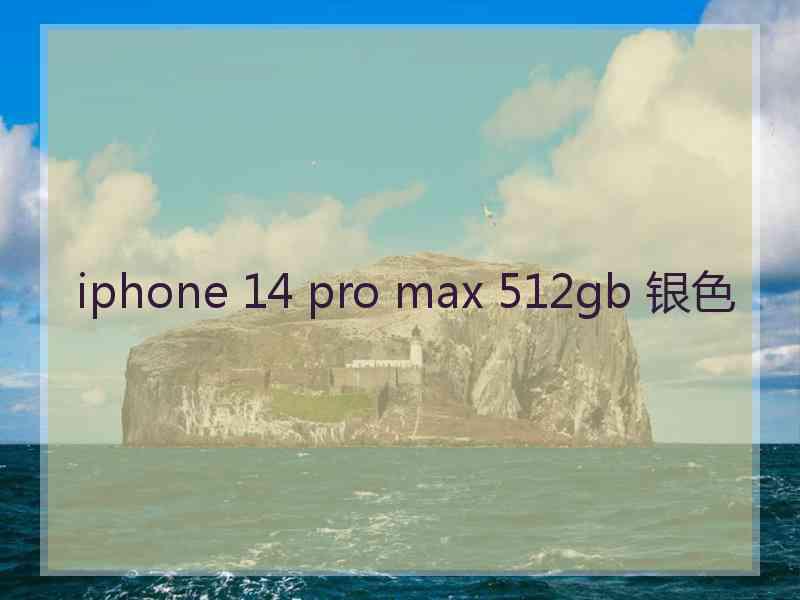 iphone 14 pro max 512gb 银色