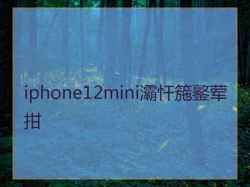 iphone12mini灞忓箷鐜荤拑