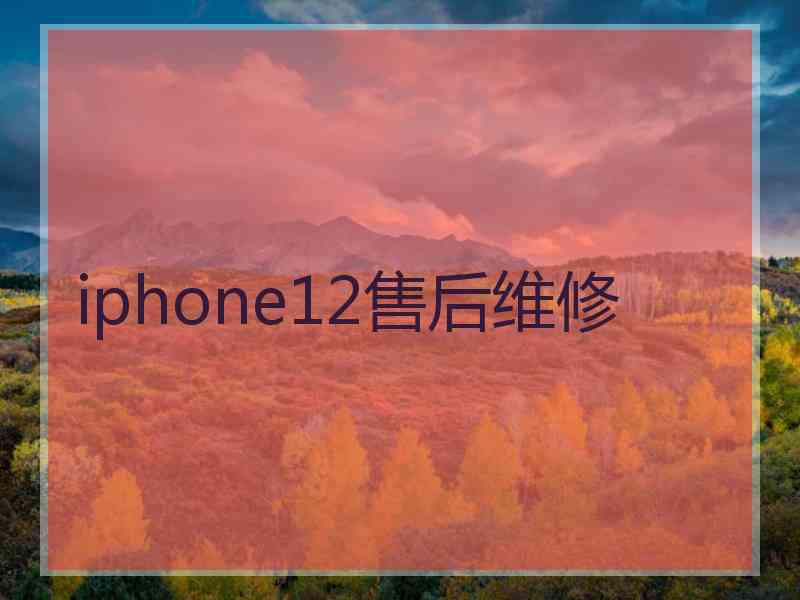 iphone12售后维修