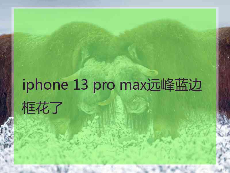 iphone 13 pro max远峰蓝边框花了