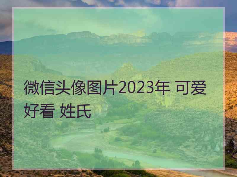 微信头像图片2023年 可爱 好看 姓氏