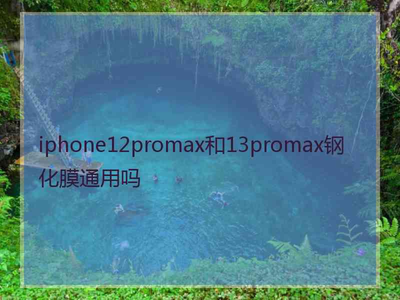 iphone12promax和13promax钢化膜通用吗