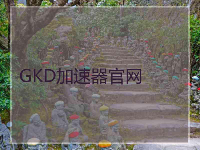 GKD加速器官网