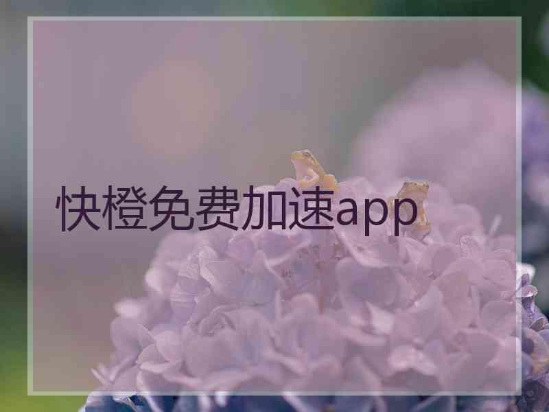 快橙免费加速app