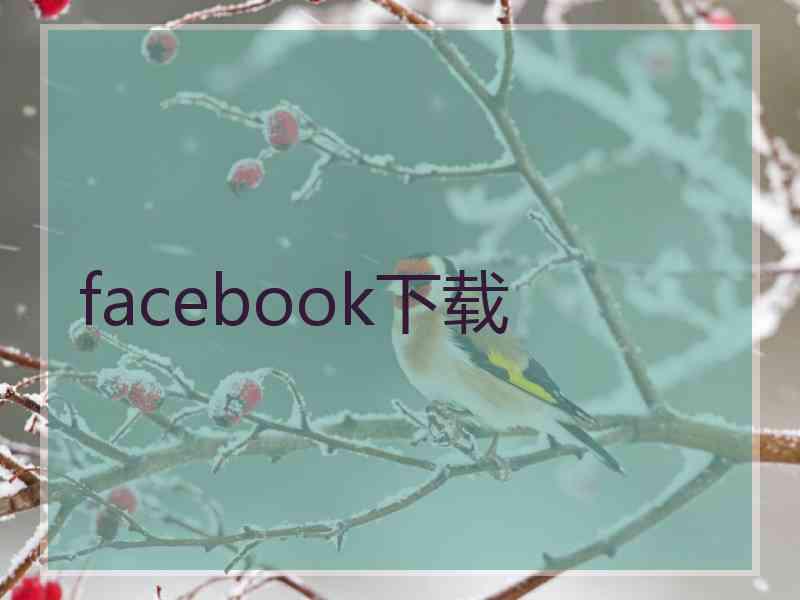 facebook下载