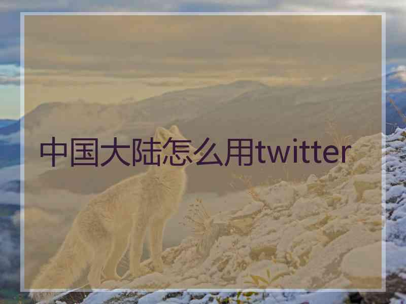 中国大陆怎么用twitter