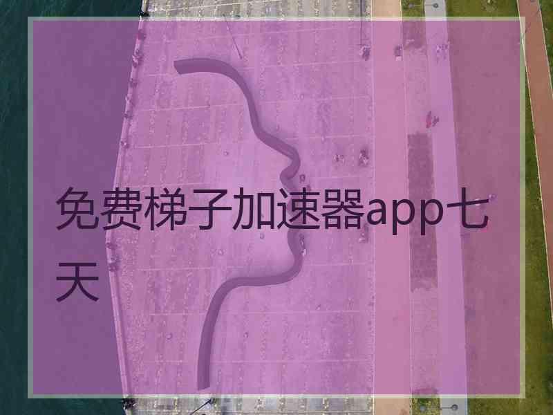 免费梯子加速器app七天