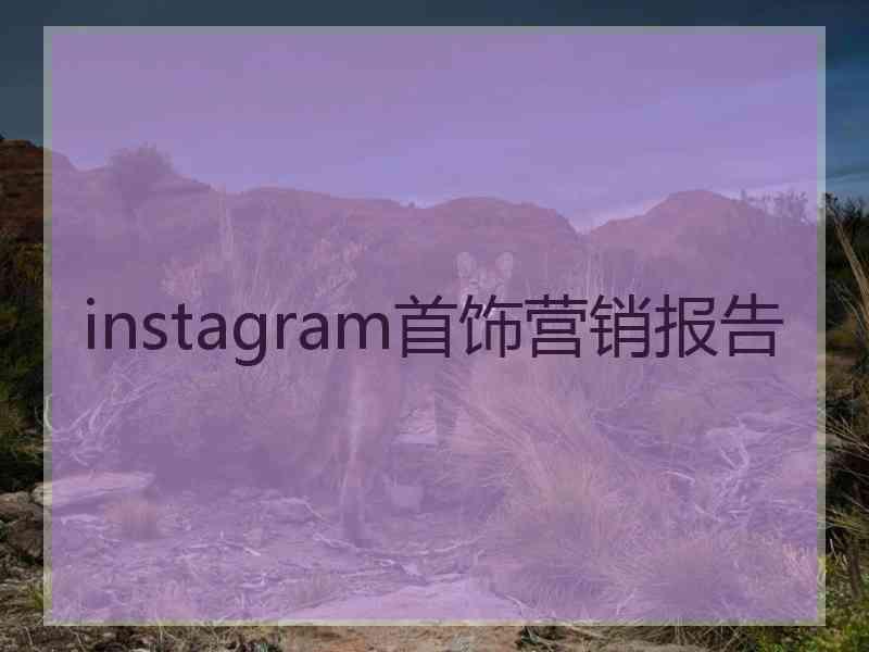 instagram首饰营销报告