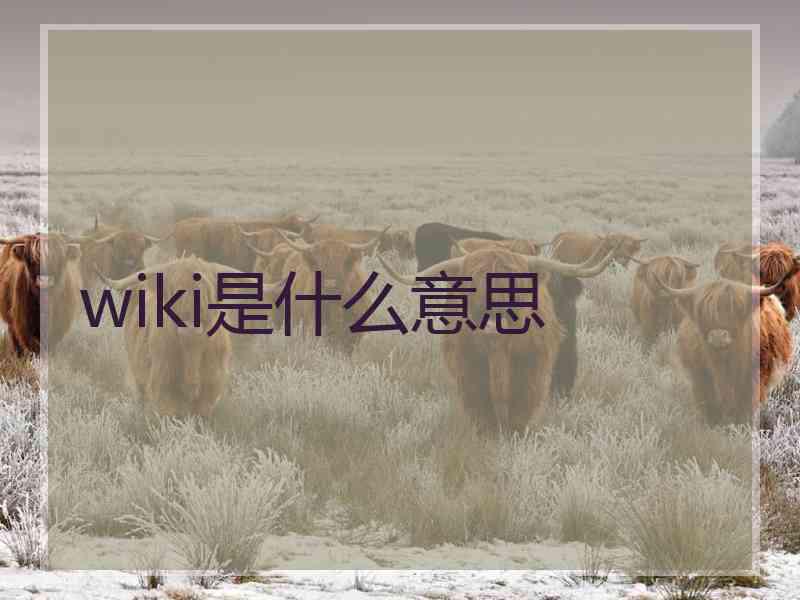 wiki是什么意思