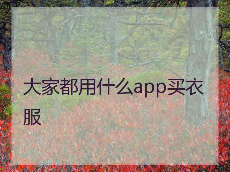 大家都用什么app买衣服