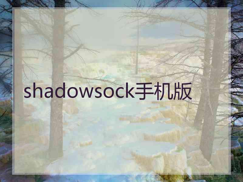 shadowsock手机版