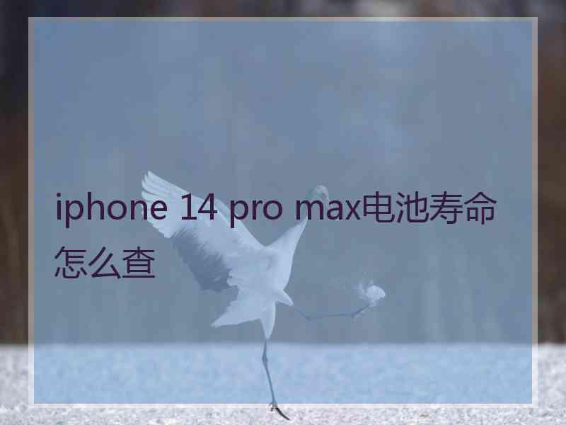 iphone 14 pro max电池寿命怎么查