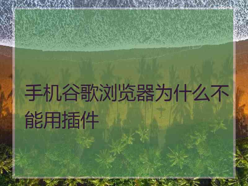 手机谷歌浏览器为什么不能用插件