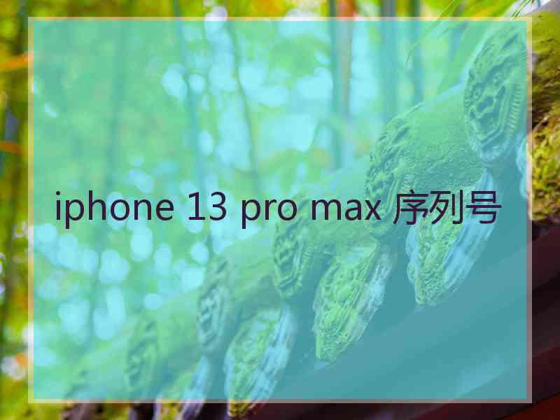 iphone 13 pro max 序列号