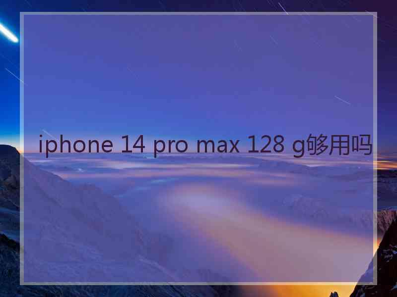 iphone 14 pro max 128 g够用吗