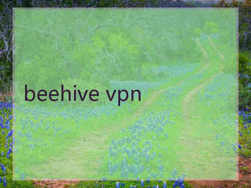 beehive vpn