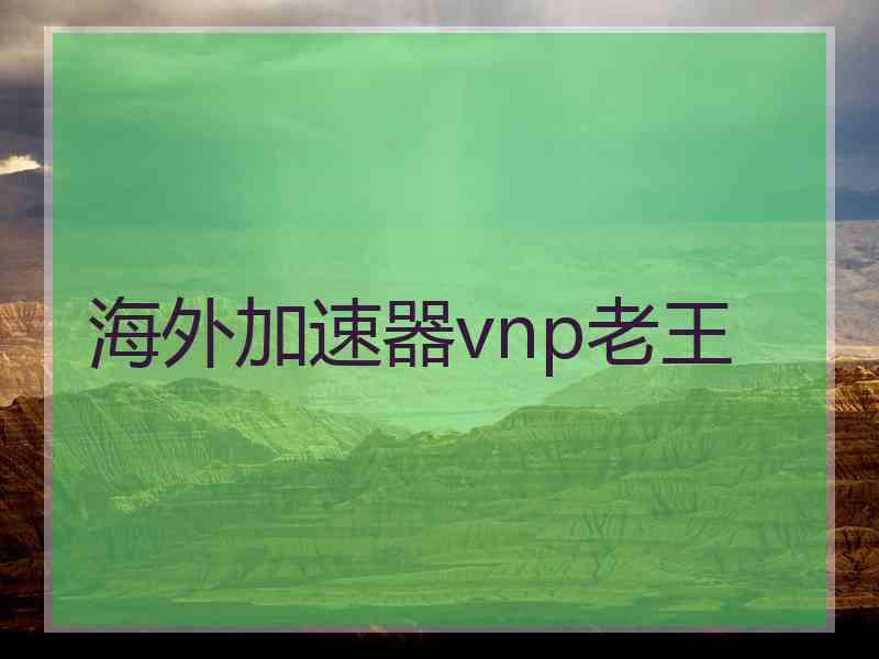 海外加速器vnp老王