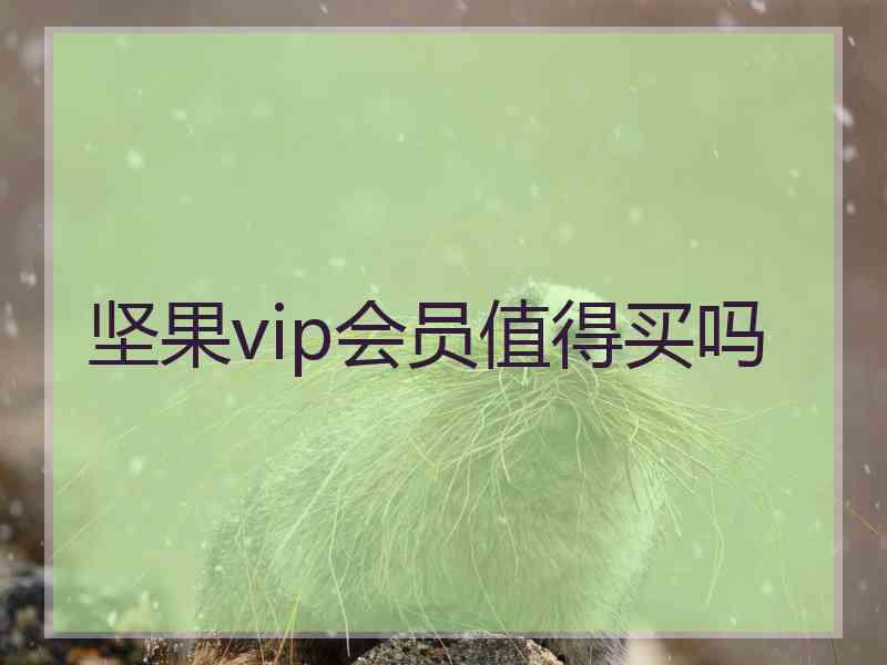 坚果vip会员值得买吗