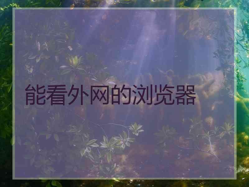 能看外网的浏览器