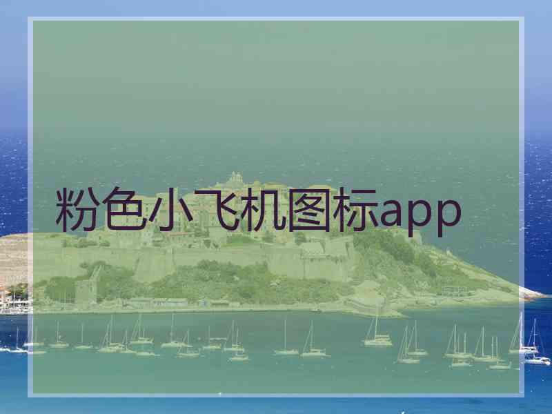 粉色小飞机图标app