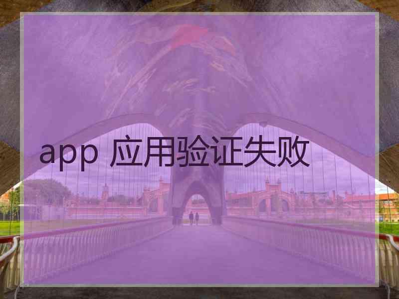 app 应用验证失败