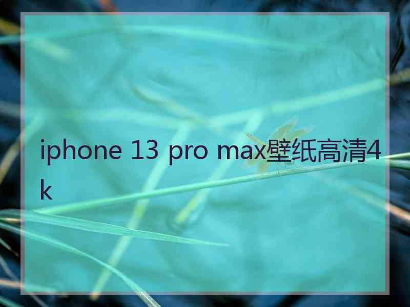 iphone 13 pro max壁纸高清4k