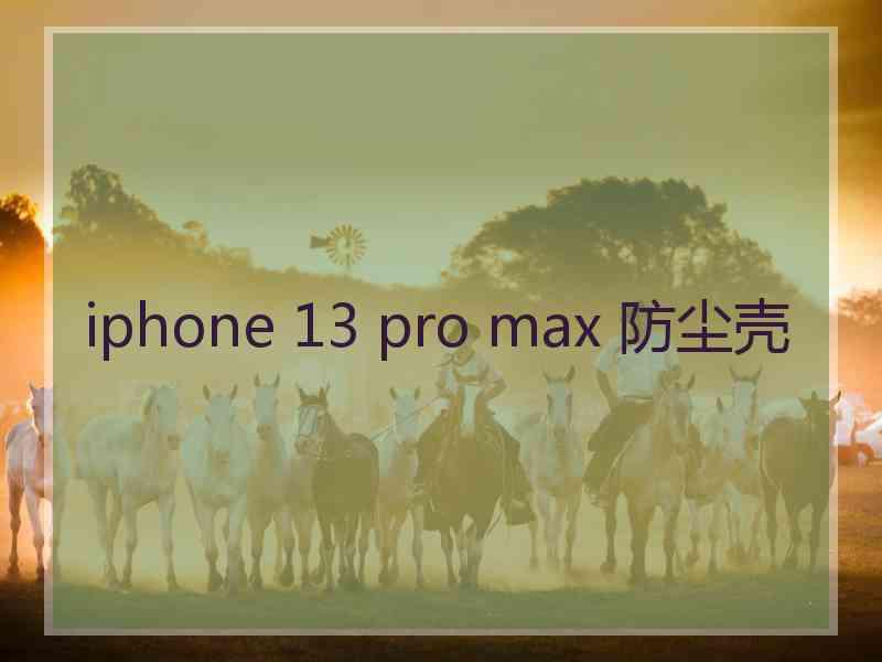 iphone 13 pro max 防尘壳