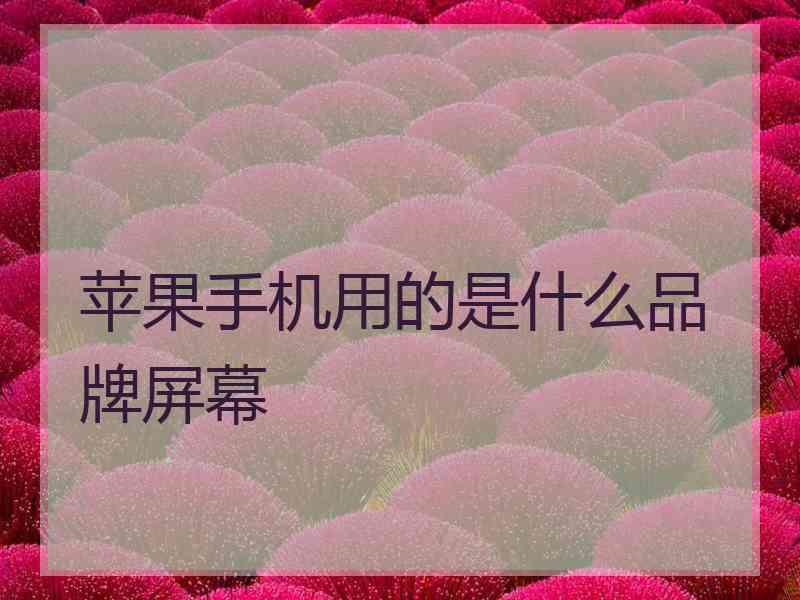 苹果手机用的是什么品牌屏幕