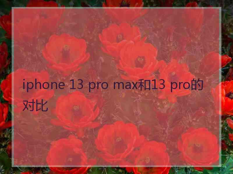 iphone 13 pro max和13 pro的对比