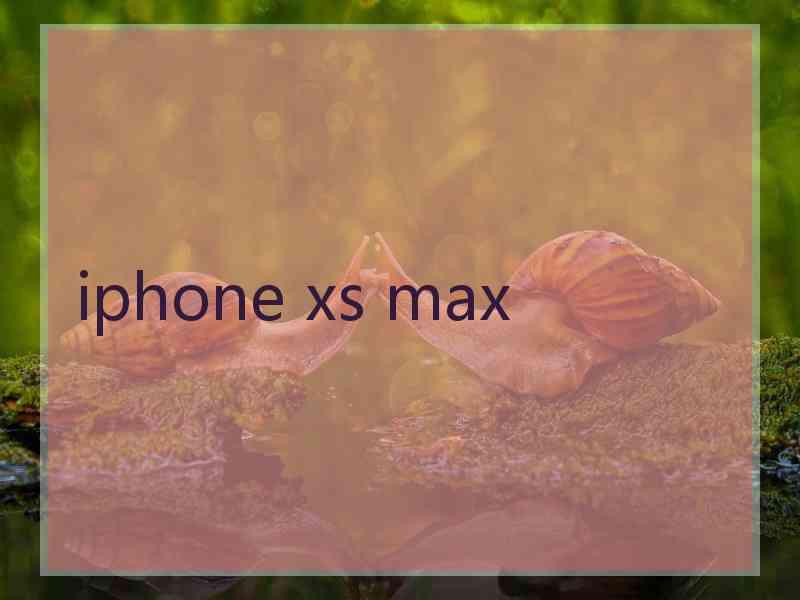 iphone xs max