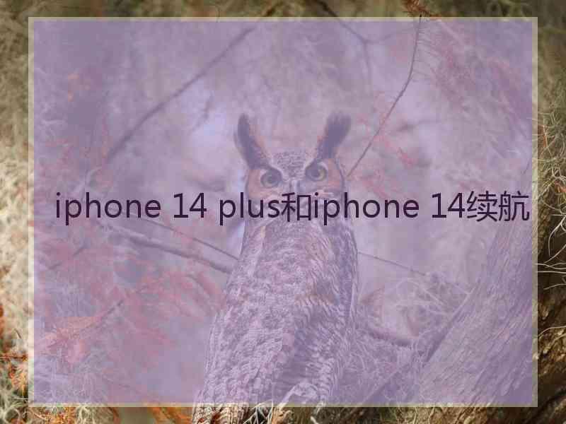 iphone 14 plus和iphone 14续航