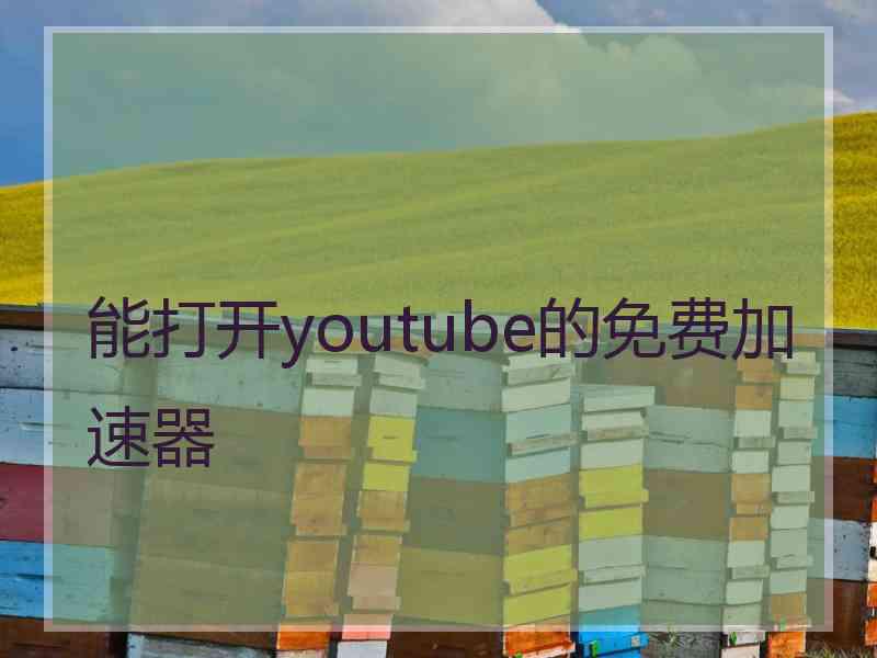 能打开youtube的免费加速器