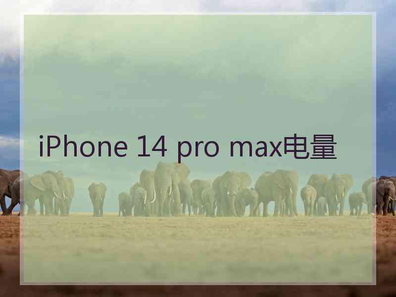 iPhone 14 pro max电量