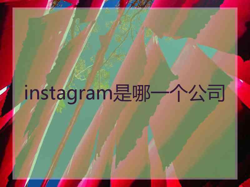 instagram是哪一个公司