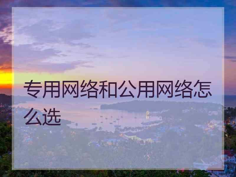 专用网络和公用网络怎么选