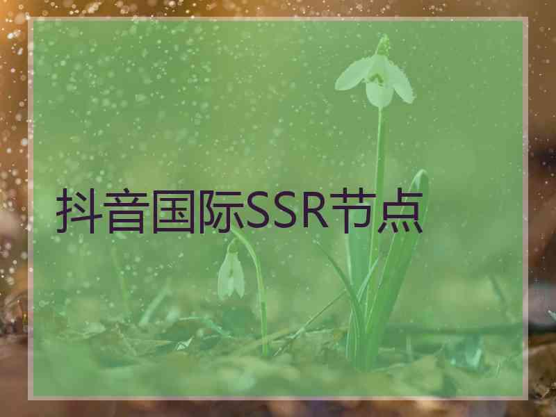 抖音国际SSR节点