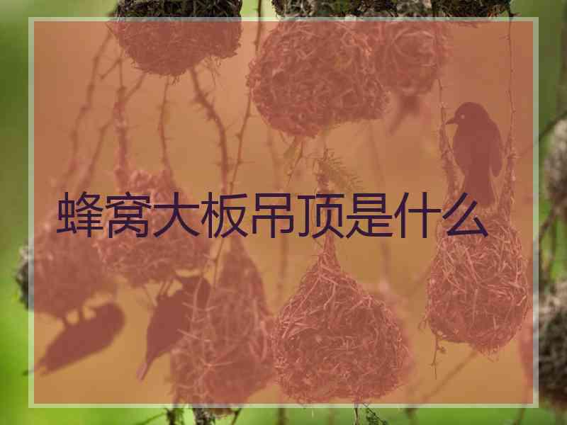 蜂窝大板吊顶是什么