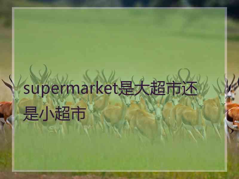 supermarket是大超市还是小超市