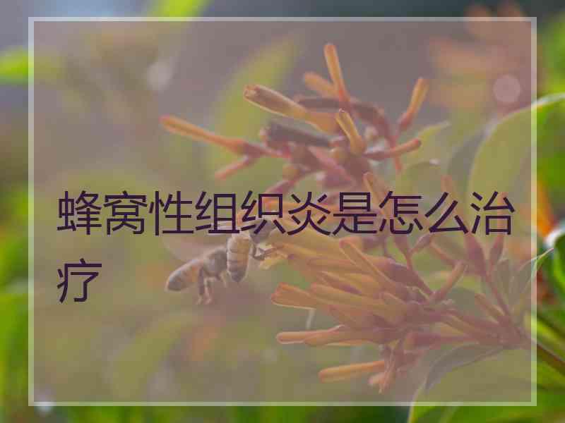 蜂窝性组织炎是怎么治疗