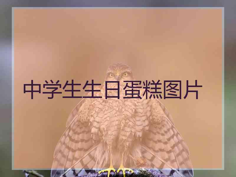 中学生生日蛋糕图片