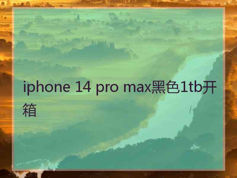 iphone 14 pro max黑色1tb开箱