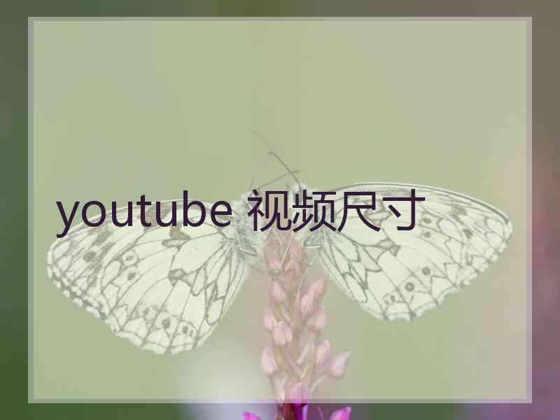 youtube 视频尺寸