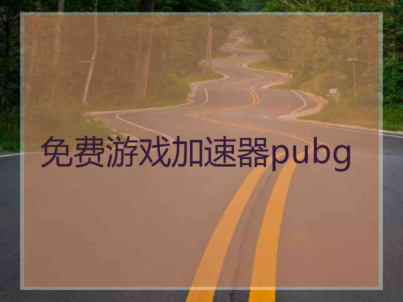 免费游戏加速器pubg