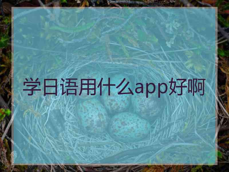 学日语用什么app好啊