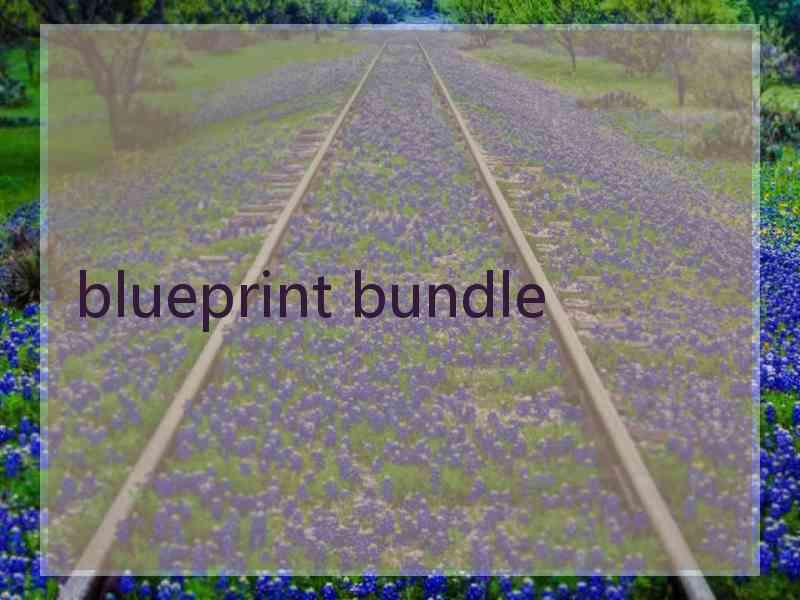 blueprint bundle