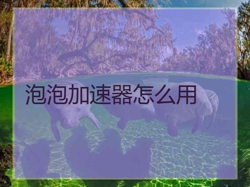 泡泡加速器怎么用