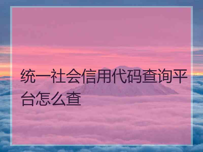 统一社会信用代码查询平台怎么查